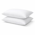 Extra Pillows (2)