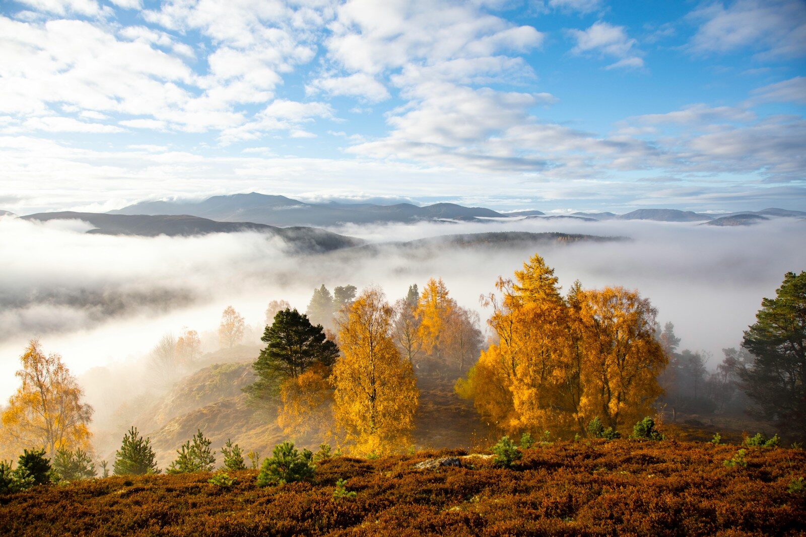 Autumn Campervan Promotion