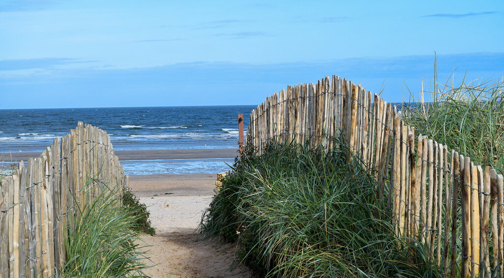 St Andrews West Beach