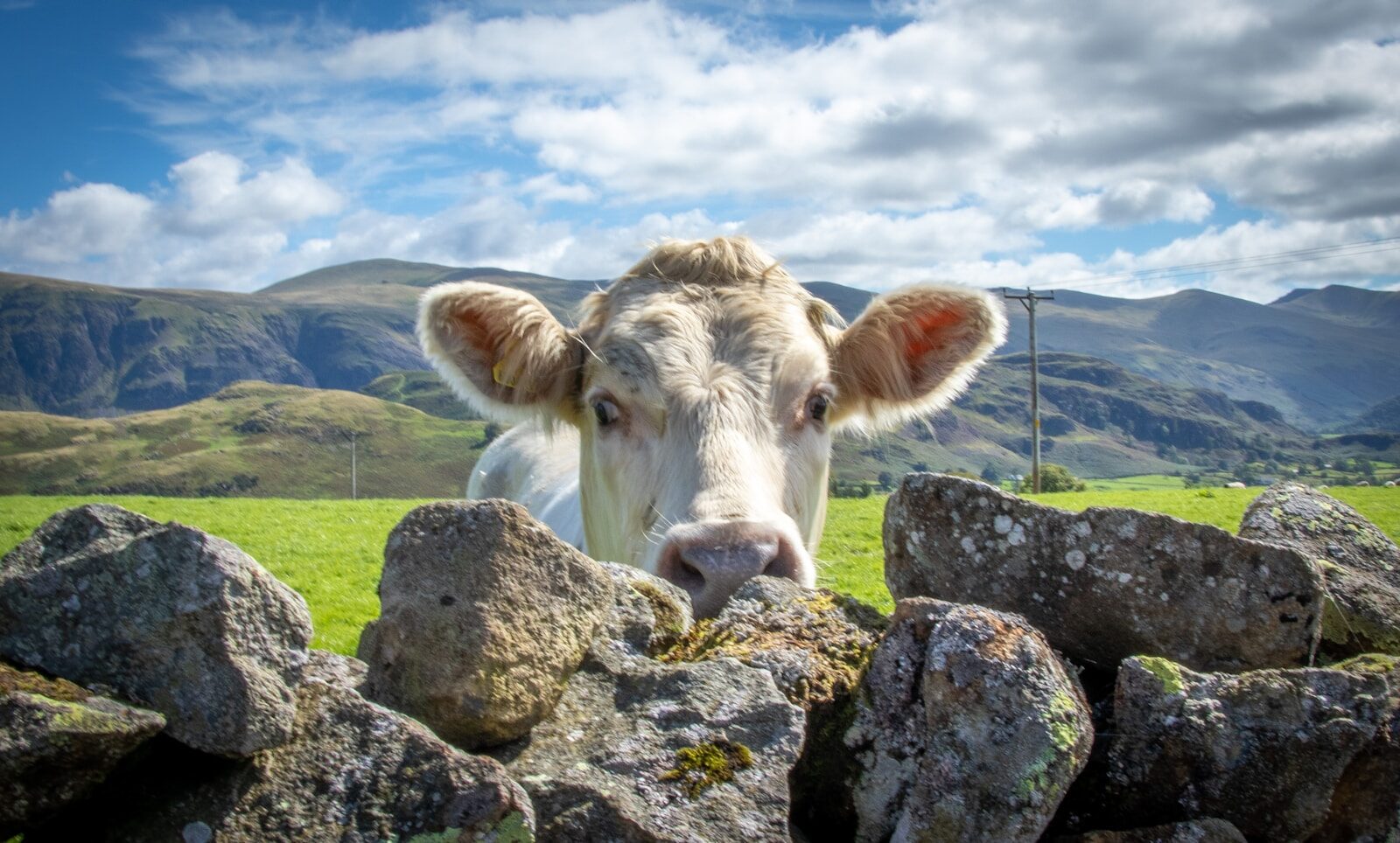 Kendal motorhome trip: four days in the Lake District